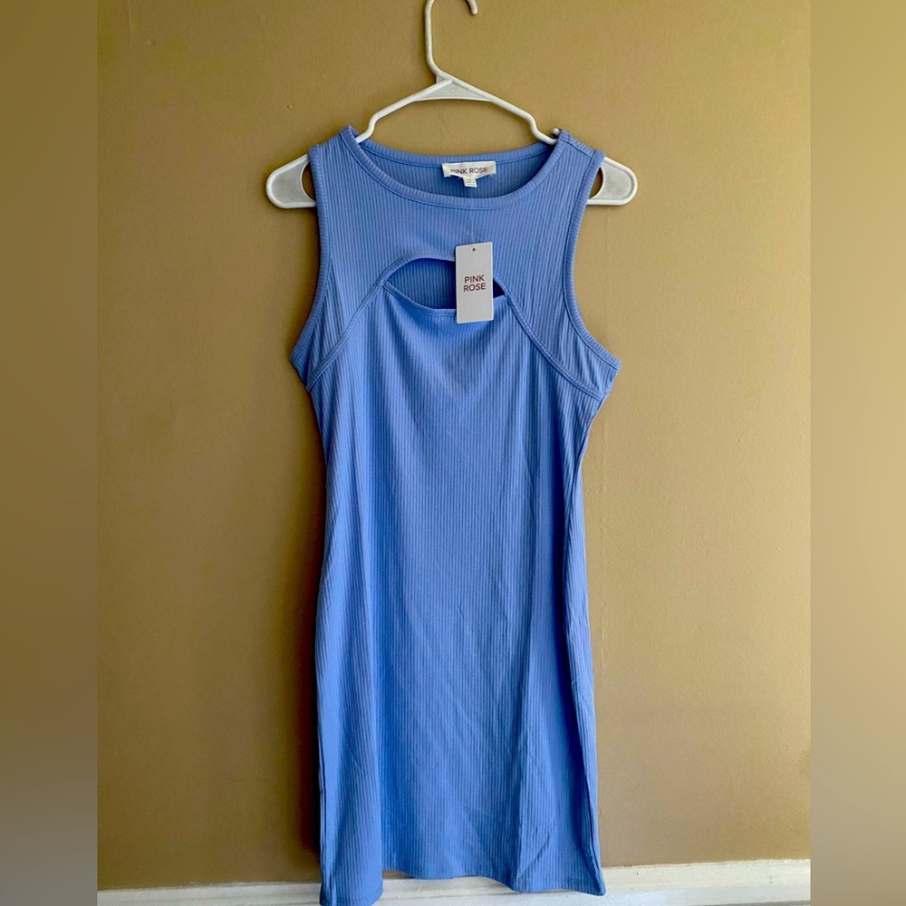 NEW Pink Rose blue ribbed dress